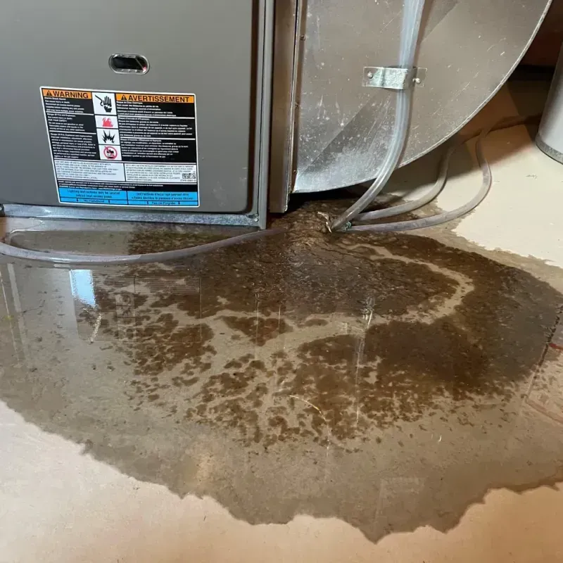 Appliance Leak Cleanup in Jackson, MI